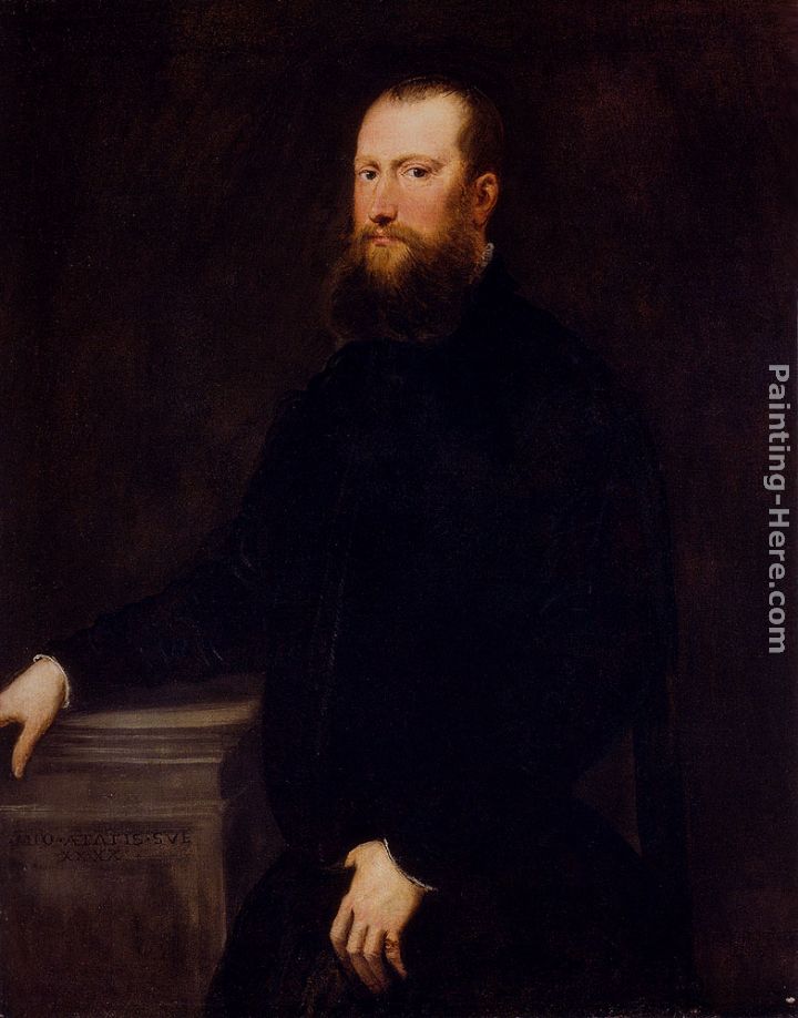 Portrait Of A Bearded Venetian Nobleman painting - Jacopo Robusti Tintoretto Portrait Of A Bearded Venetian Nobleman art painting